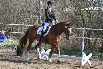 Bild 304 - WBO-Turnier am 9.4.11